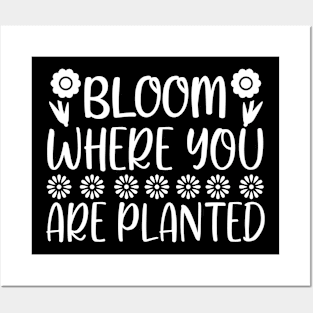 Bloom where you are planted - Best Gardening gift Posters and Art